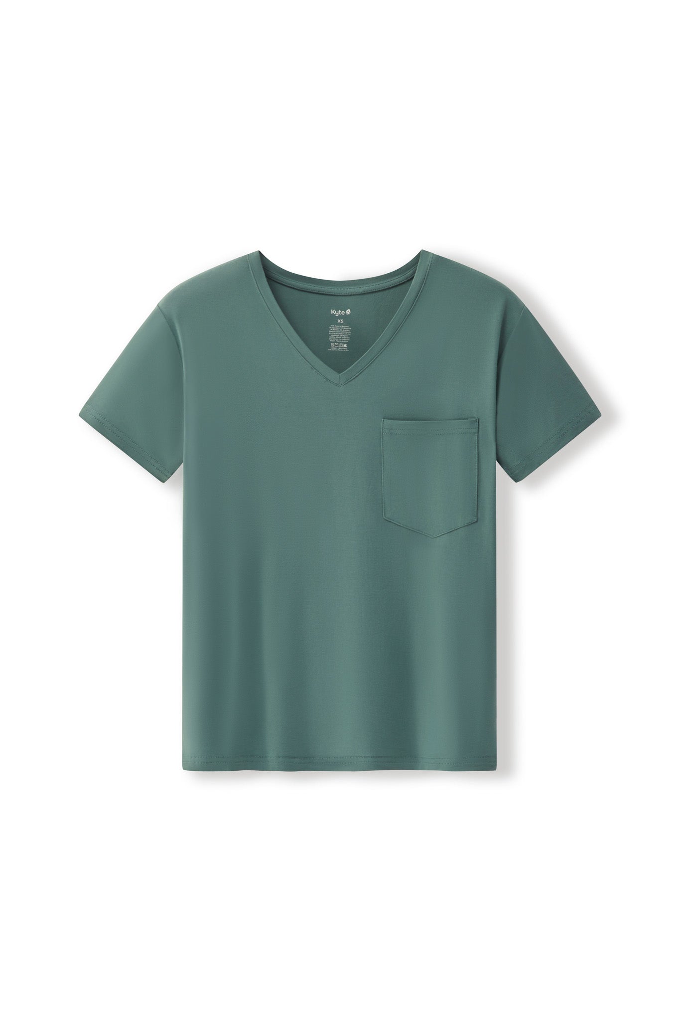 Women's Oversized V-Neck Tee in Pine - Image 5