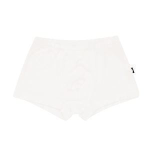 Briefs in Cloud
