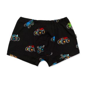 Briefs in Monster Truck