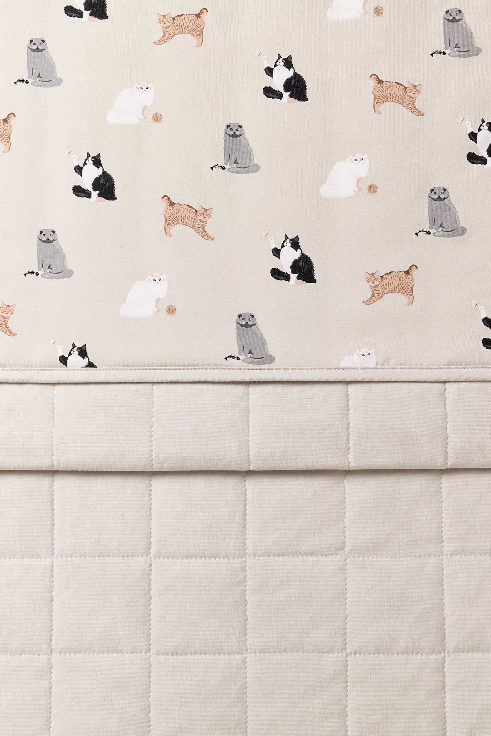 Youth Blanket in Fluffy Cat 1.0 - Image 5