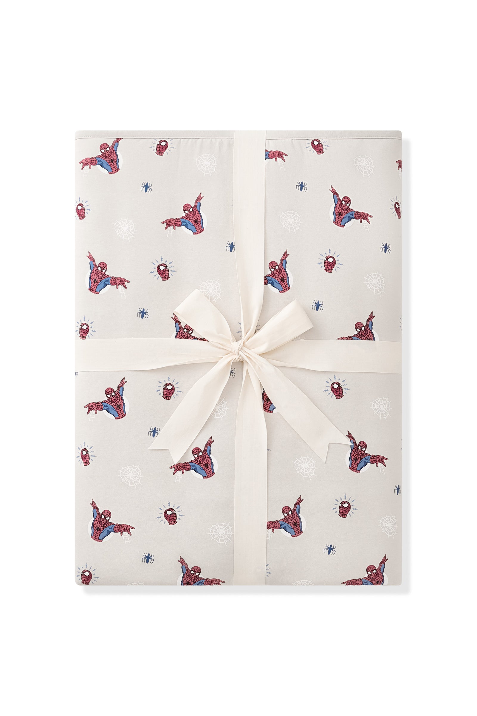Youth Blanket in Spider-Man 2.5 - Image 2