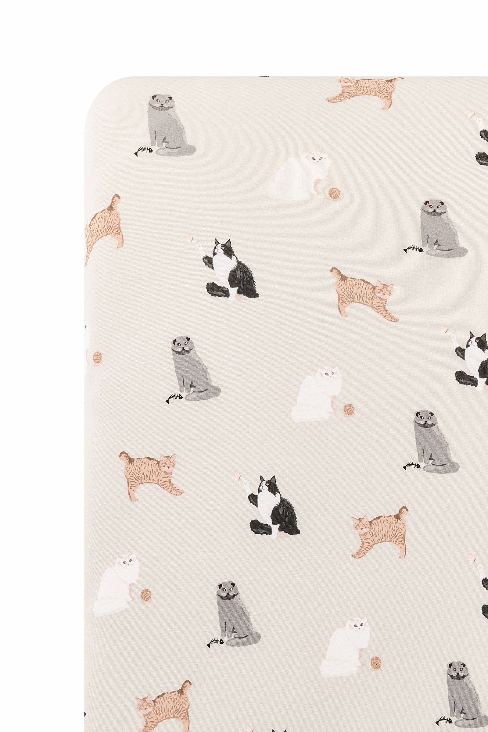 Twin Sheet in Fluffy Cat - Image 2