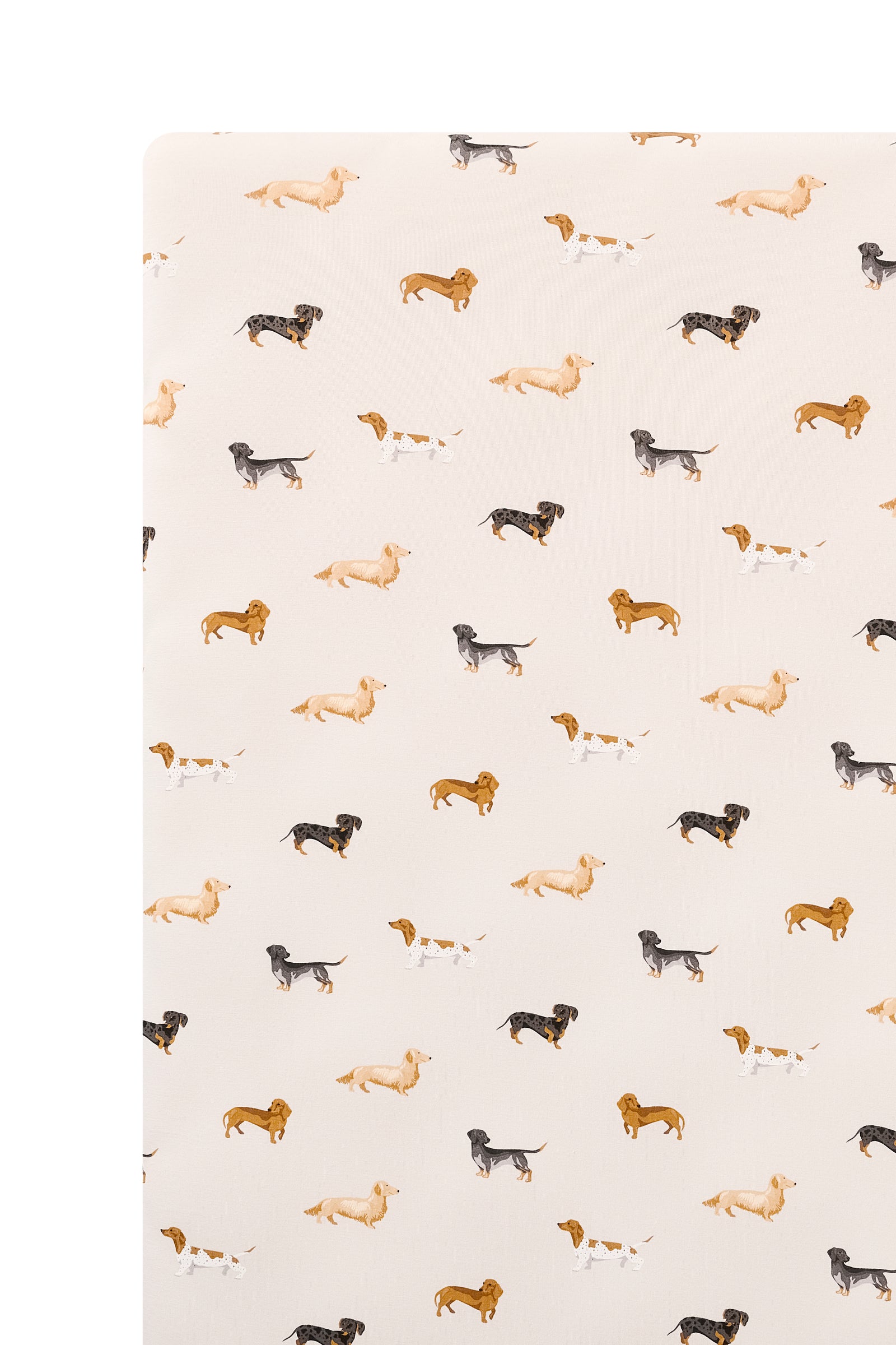 Twin Sheet in Dachshund - Image 3