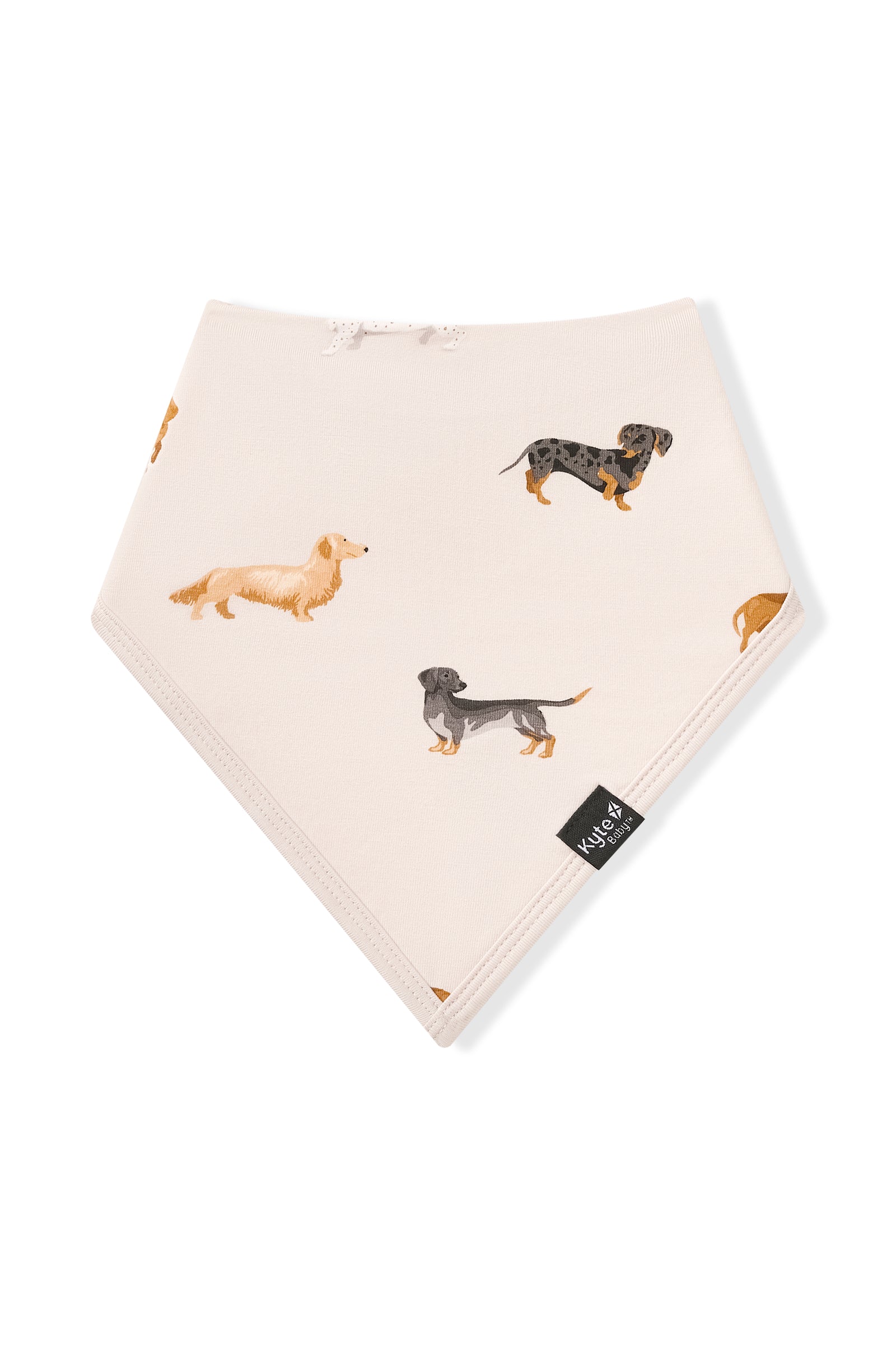 Bib in Dachshund - Image 2