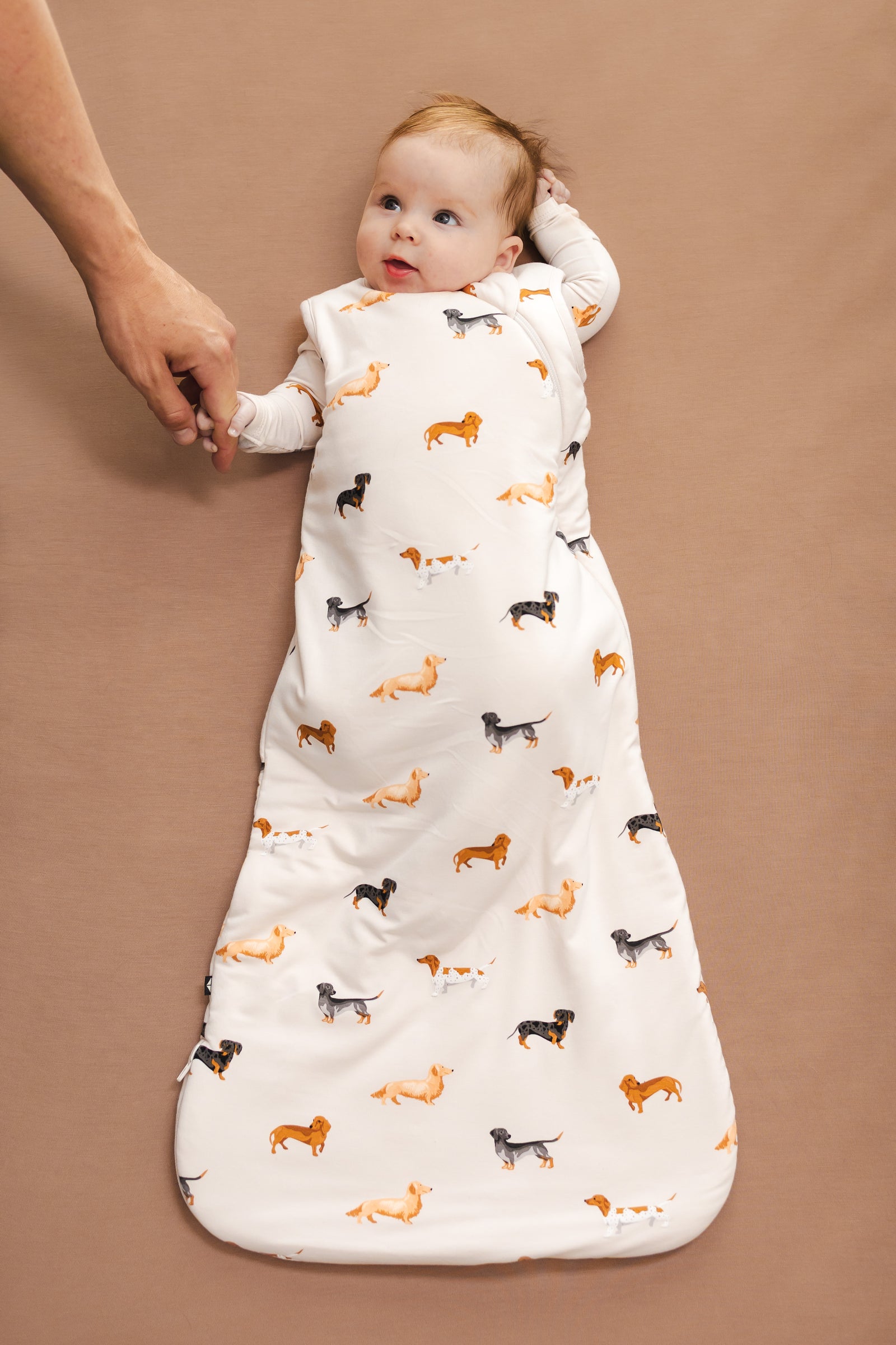 Sleep Bag in Dachshund 1.0 - Image 4