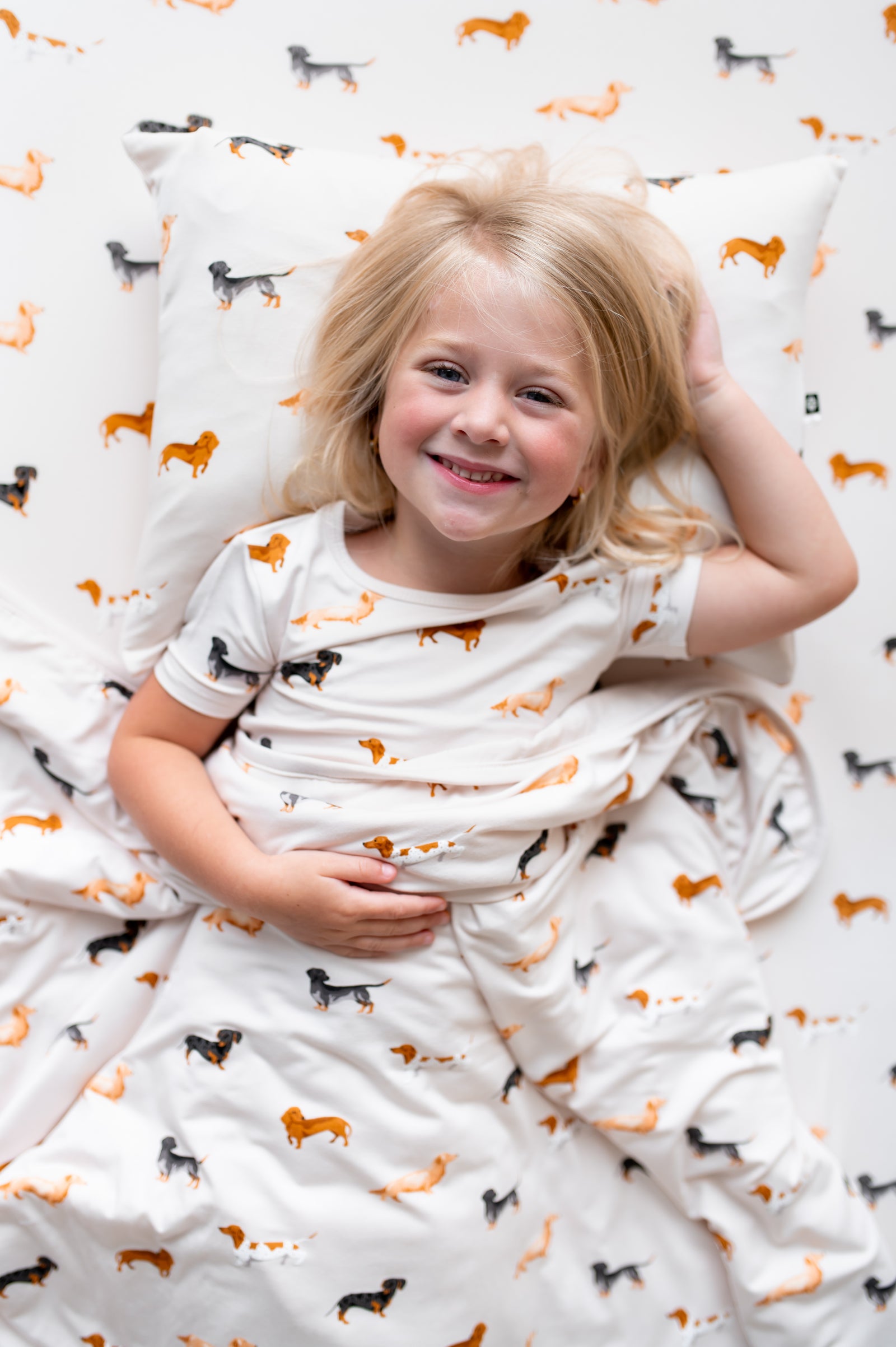 Toddler Blanket in Dachshund 1.0 - Image 4