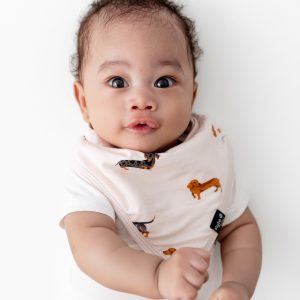 Bib in Dachshund