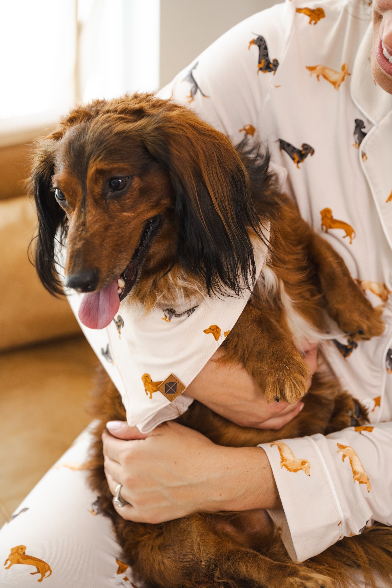 Dog Bandana in Dachshund - Image 6