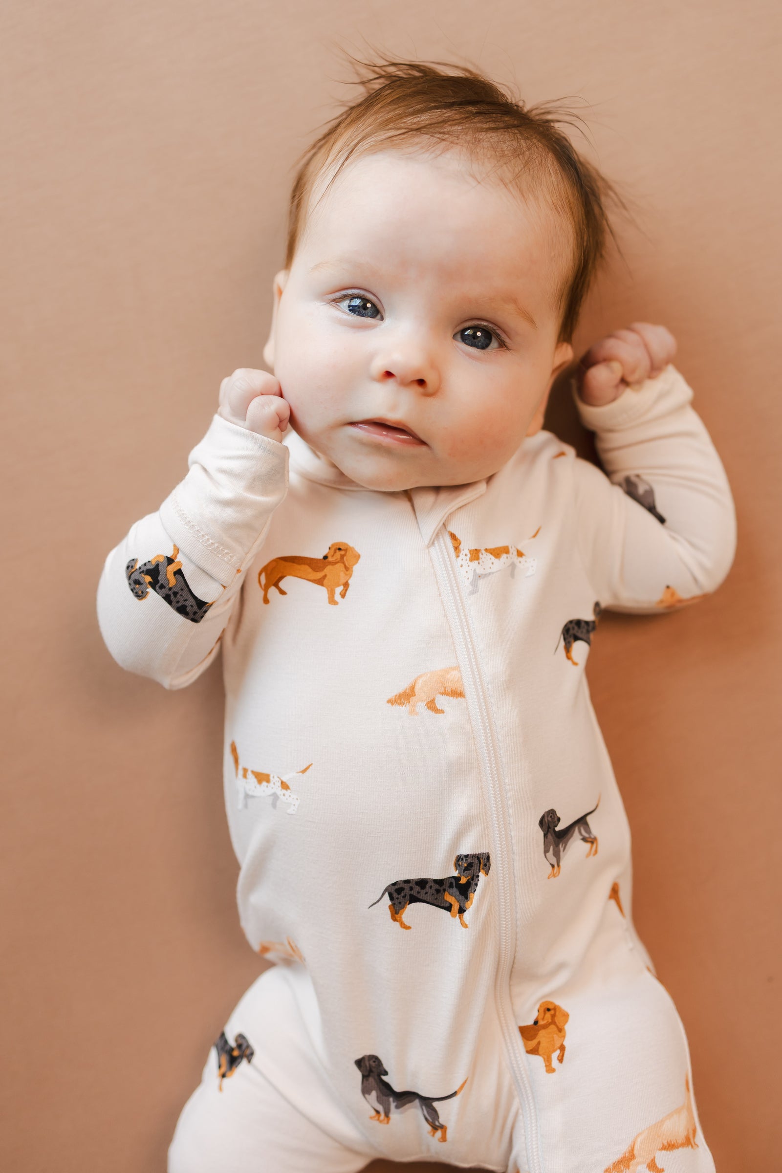 Zippered Romper in Dachshund - Image 3