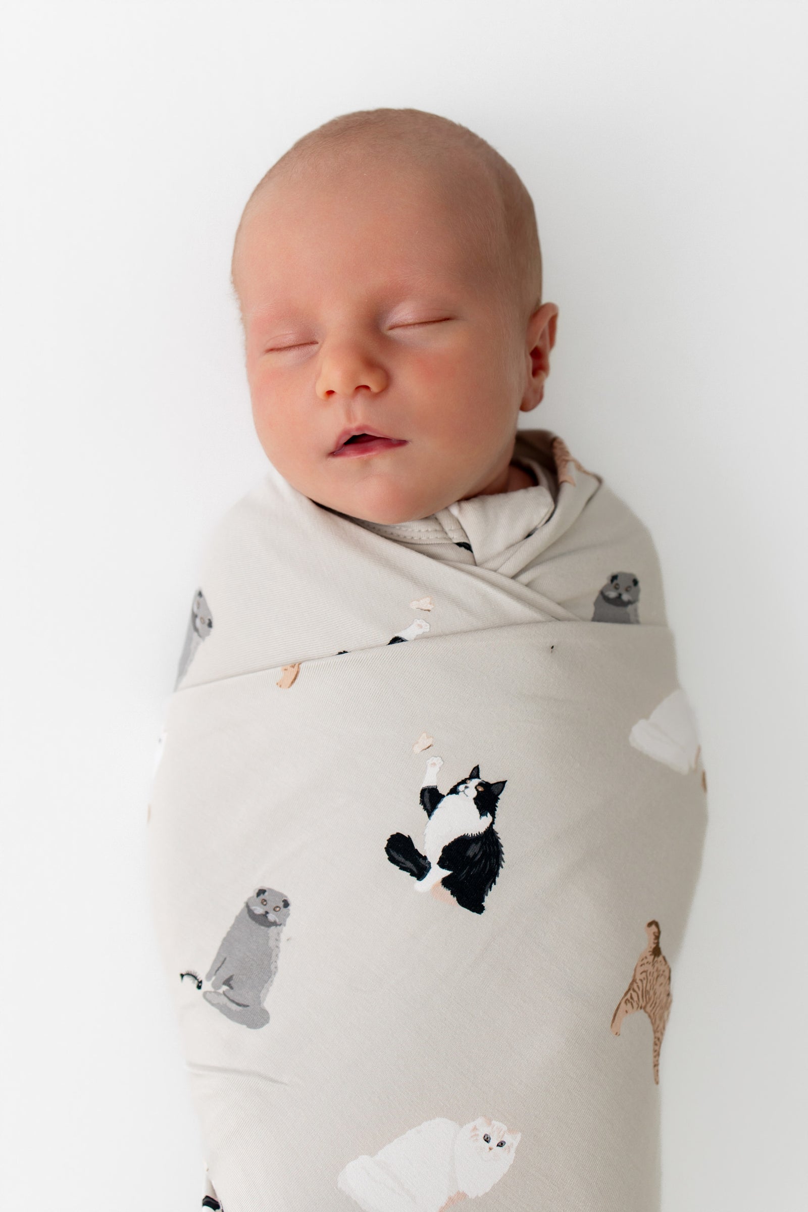 Swaddle Blanket in Fluffy Cat - Image 3