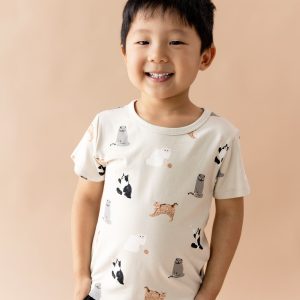 Toddler Basic Tee in Fluffy Cat