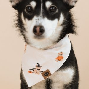 Dog Bandana in Halloween Teddy