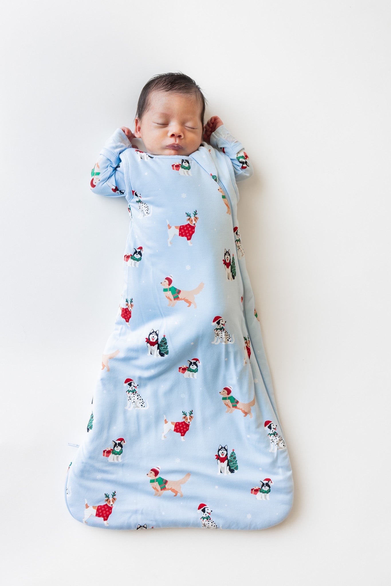 Sleep Bag in Holiday Pups 1.0