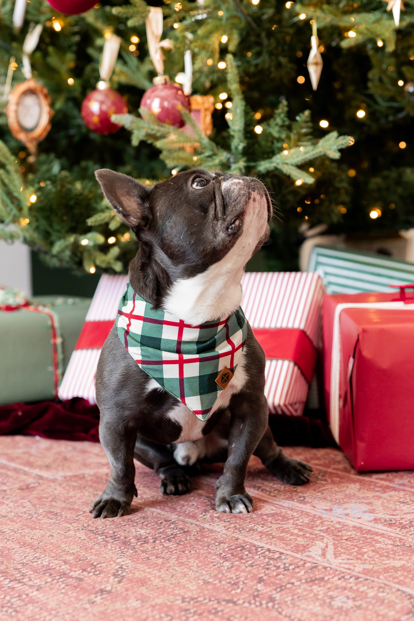 Dog Bandana in Holiday Plaid - Image 3