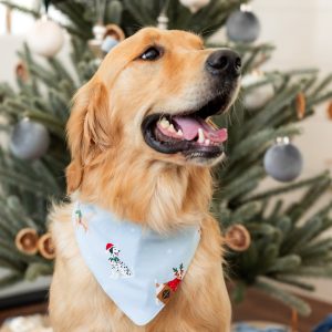 Dog Bandana in Holiday Pups