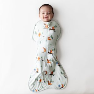 Swaddle Bag in Winnie the Pooh Hundred Acre Wood 0.5