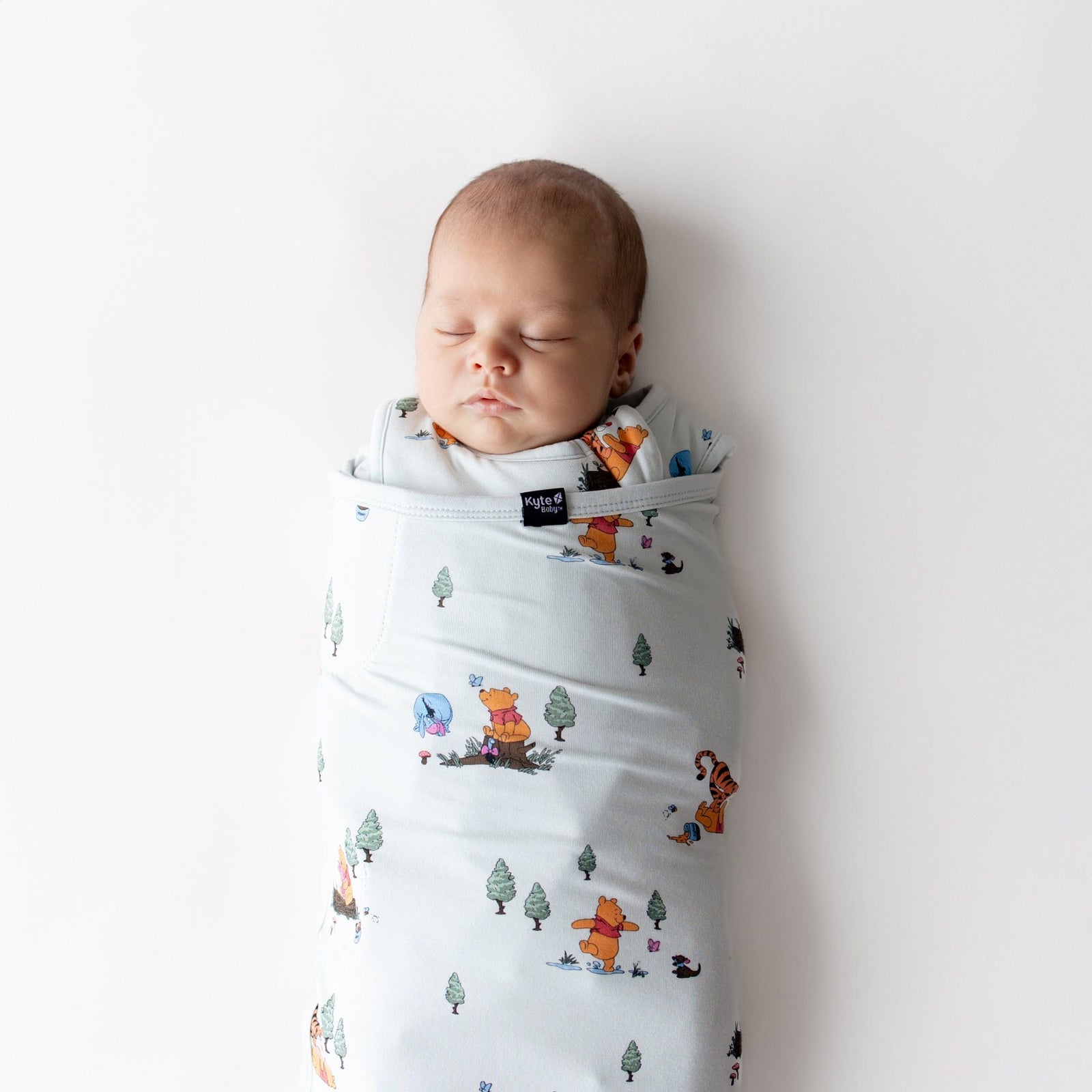 Sleep Bag Swaddler in Winnie the Pooh Hundred Acre Wood 1.0 - Image 3