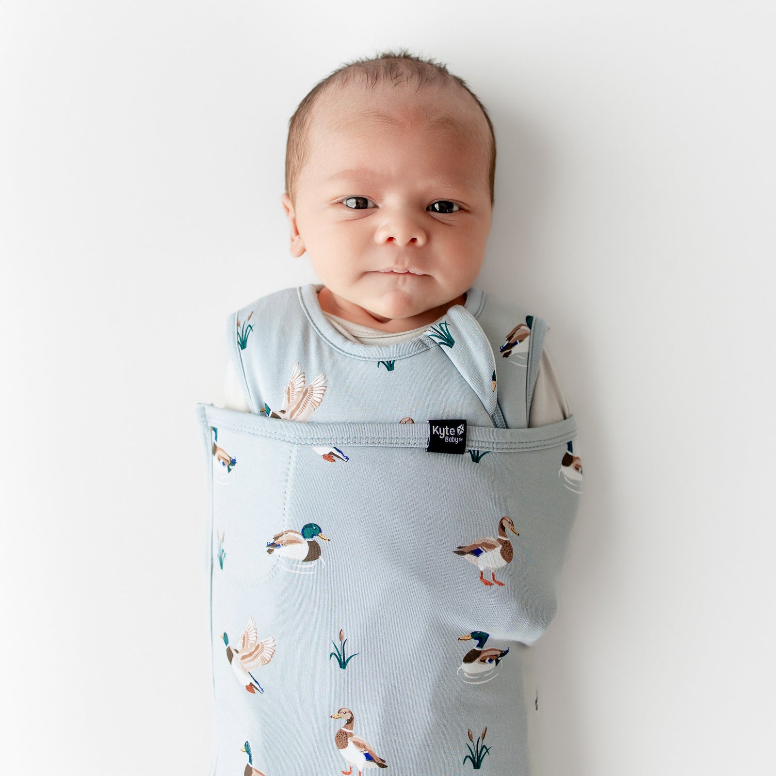 Sleep Bag Swaddler in Mallard Duck 1.0 - Image 3