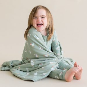 Toddler Blanket in Silly Goose 1.0