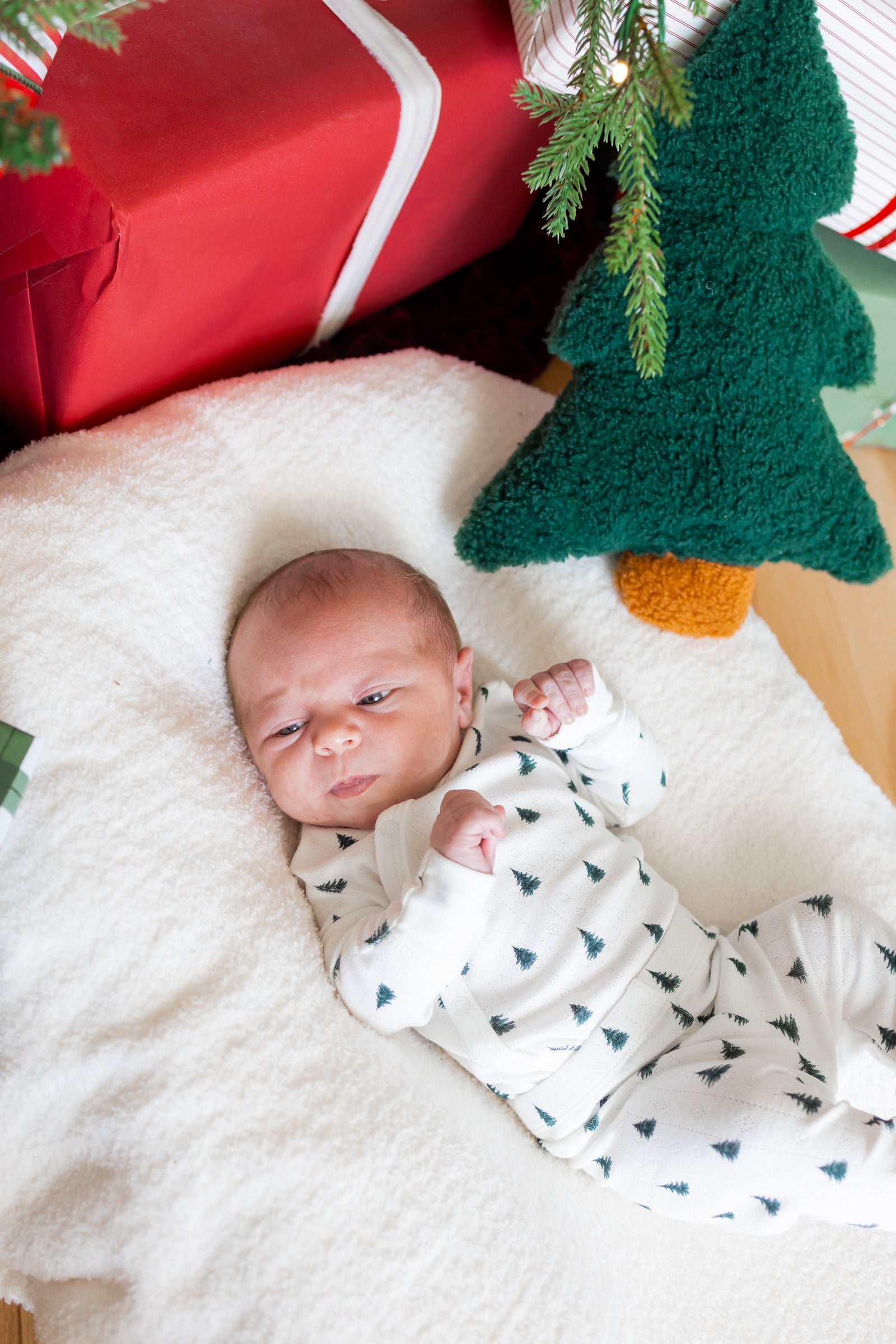 Pointelle Kimono Set in Christmas Trees - Image 4
