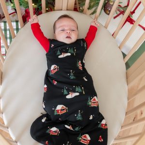 Sleep Bag in Winter Wonderland 1.0