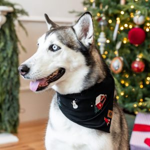 Dog Bandana in Winter Wonderland