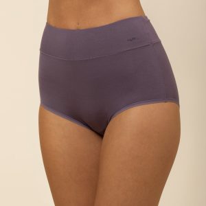 Women's High-Waisted Brief in Currant